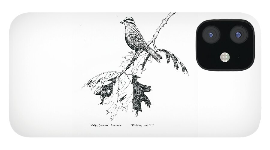 White Crowned Sparrow iPhone 12 Case featuring the drawing White Crowned Sparrow by Timothy Livingston