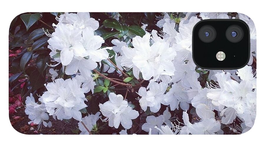 Flowers iPhone 12 Case featuring the photograph White Flowers 2012 by Will Felix