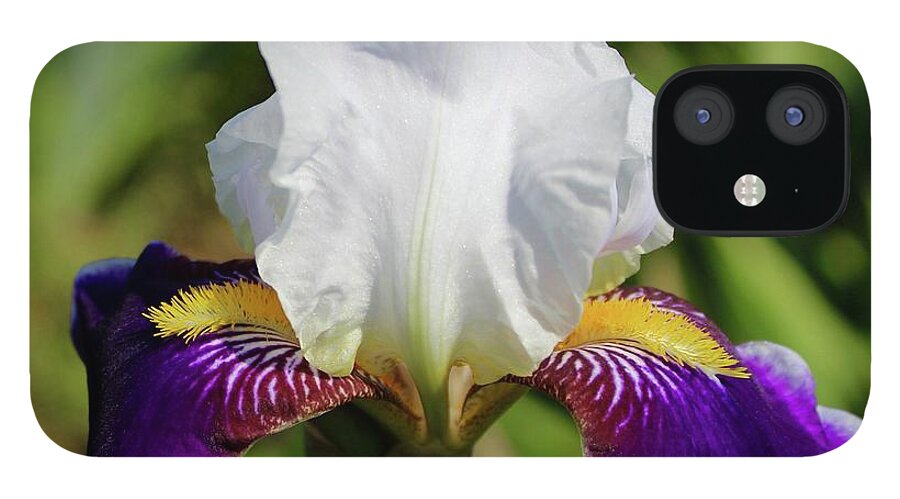 Photograph iPhone 12 Case featuring the photograph White Violet Iris Invitation by M E