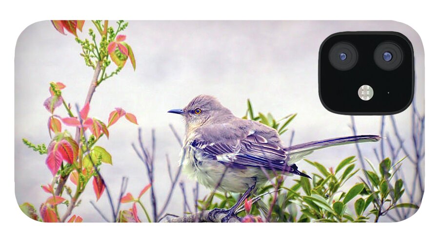 Northern Mockingbird iPhone 12 Case featuring the photograph Wild Birds - Northern Mockingbird by Kerri Farley