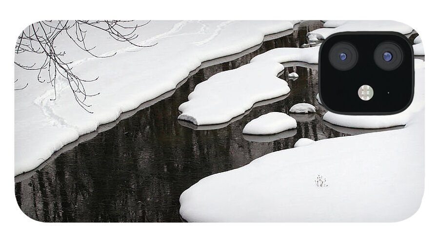 Winter iPhone 12 Case featuring the photograph Winter Stream by Paula Guttilla