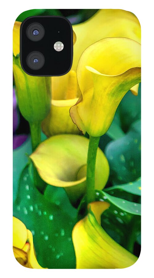 Spring Flowers iPhone 12 Case featuring the photograph Yellow Calla Lilies by Az Jackson