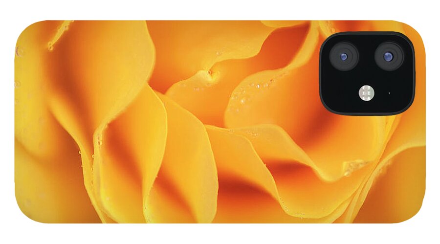 Flower iPhone 12 Case featuring the photograph Yellow rose of Texas by Usha Peddamatham
