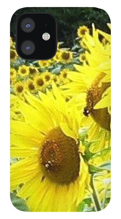 Flowers iPhone 12 Case featuring the photograph Yum by Ed Smith