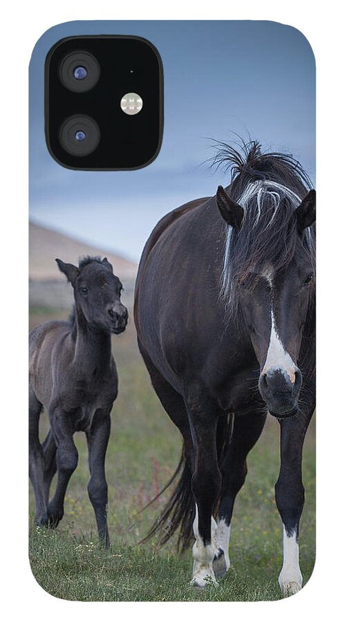 Horse iPhone 12 Case featuring the photograph Mare And Foal #1 by Arctic-images