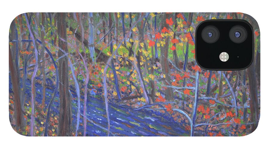 New Paltz iPhone 12 Case featuring the painting New Paltz Stream by Beth Riso