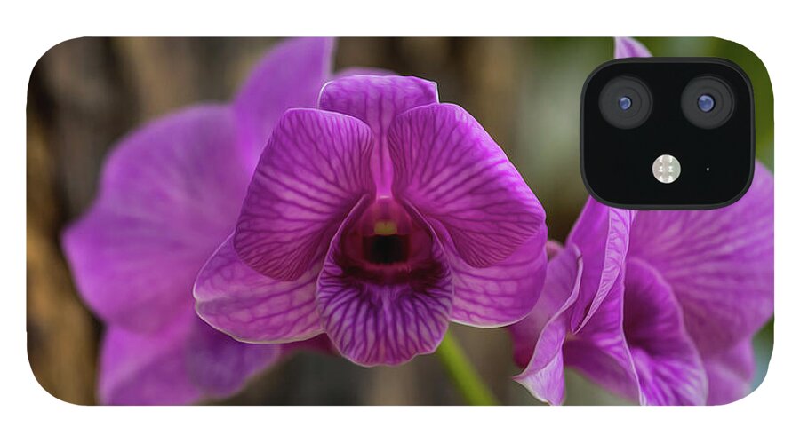 Orchid iPhone 12 Case featuring the photograph Orchid #1 by Stuart Manning