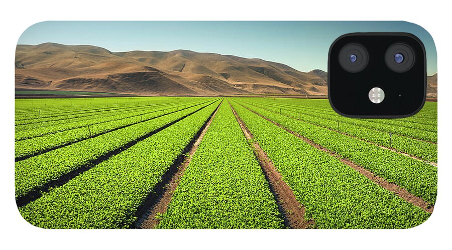 Environmental Conservation iPhone 12 Case featuring the photograph Crops Grow On Fertile Farm Land #2 by Pgiam