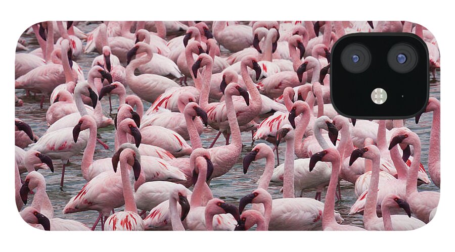 Scenics iPhone 12 Case featuring the photograph Lesser Flamingos, Lake Narasha, Kenya #3 by Mint Images/ Art Wolfe