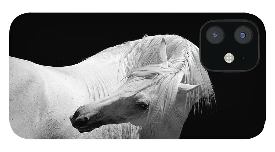 Horse iPhone 12 Case featuring the photograph White Stallion Horse Andalusian Bw #4 by 66north