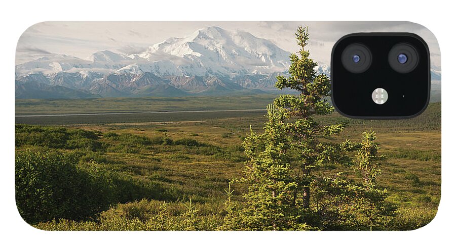Scenics iPhone 12 Case featuring the photograph Denali Np Landscape With Denali #5 by John Elk