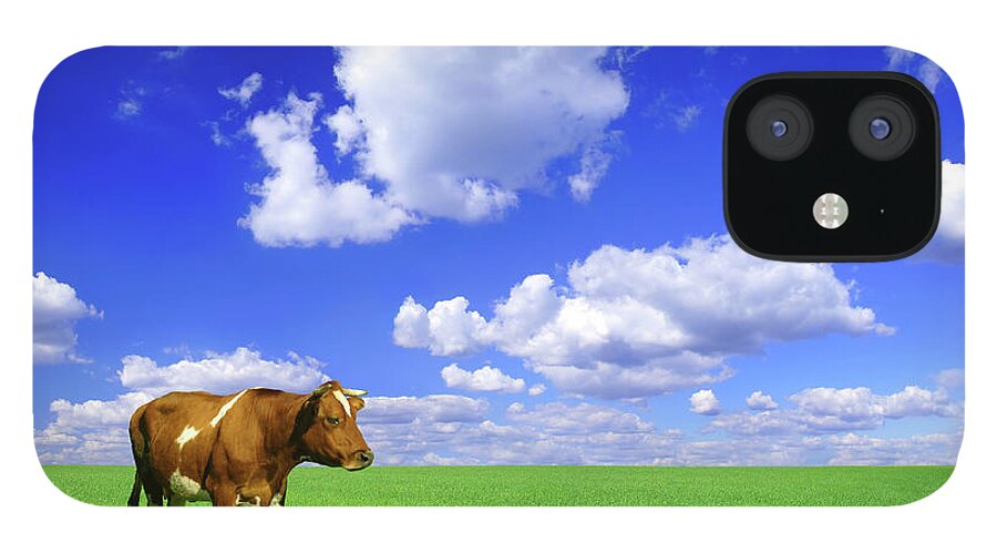 Scenics iPhone 12 Case featuring the photograph Green Field Landscape #5 by Konradlew