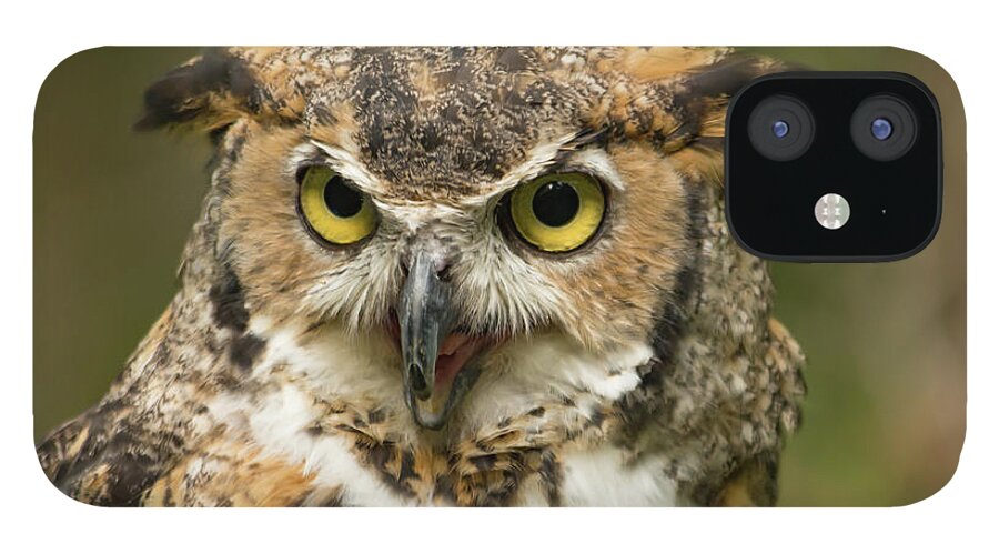 Owl iPhone 12 Case featuring the photograph A Great Horned Owl with Beak Open by Liz Albro