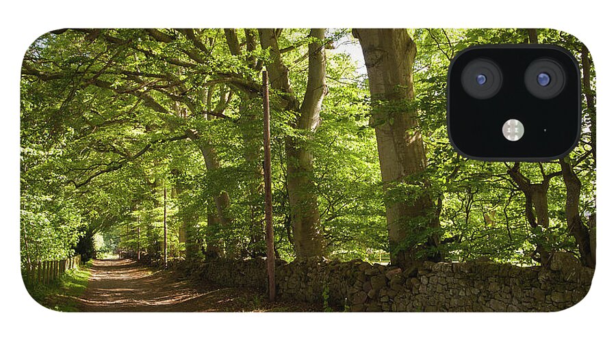 Shadow iPhone 12 Case featuring the photograph A Path Through A Lush Forest With A by John Short / Design Pics