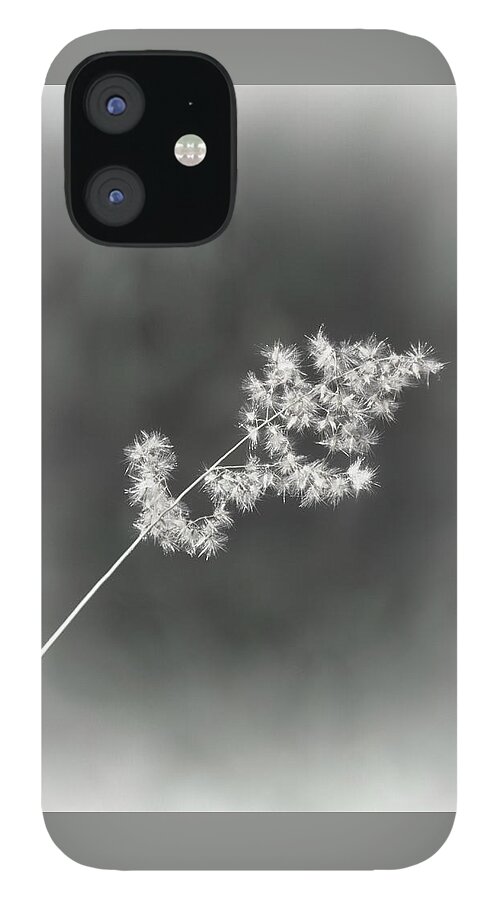 Weed iPhone 12 Case featuring the photograph A Weed Sparkles by Mitch Spence