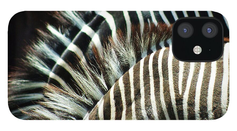 Animal Themes iPhone 12 Case featuring the photograph Abstract Zoobras by Creativity+ Timothy K. Hamilton