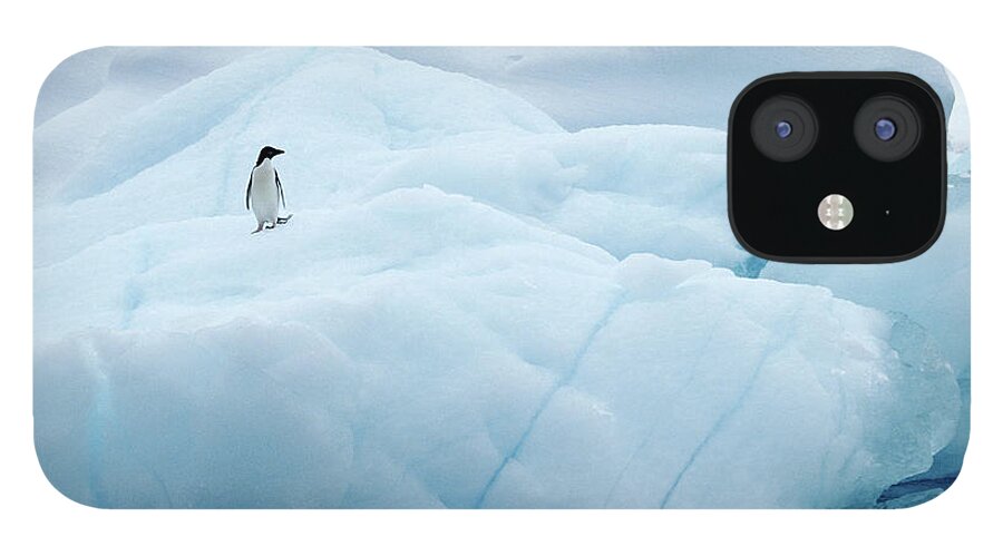 Iceberg iPhone 12 Case featuring the photograph Adelie Penguin On Iceberg In The by Joseph Van Os