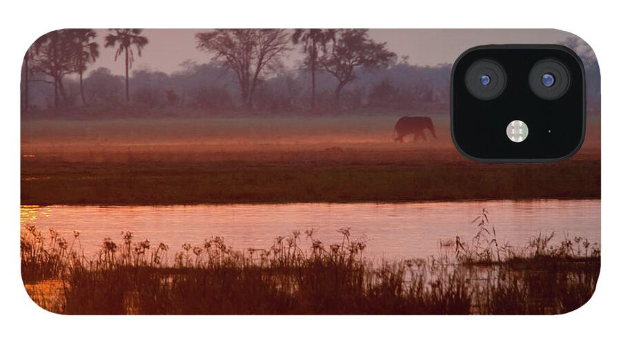 Botswana iPhone 12 Case featuring the photograph African Elephant, Okavango Delta by Mint Images/ Art Wolfe