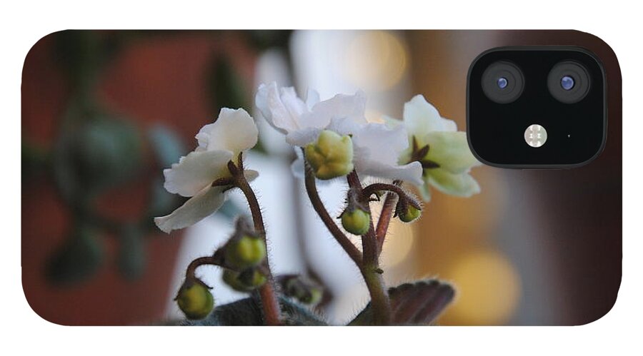 Flower iPhone 12 Case featuring the photograph African Jade by Vallee Johnson