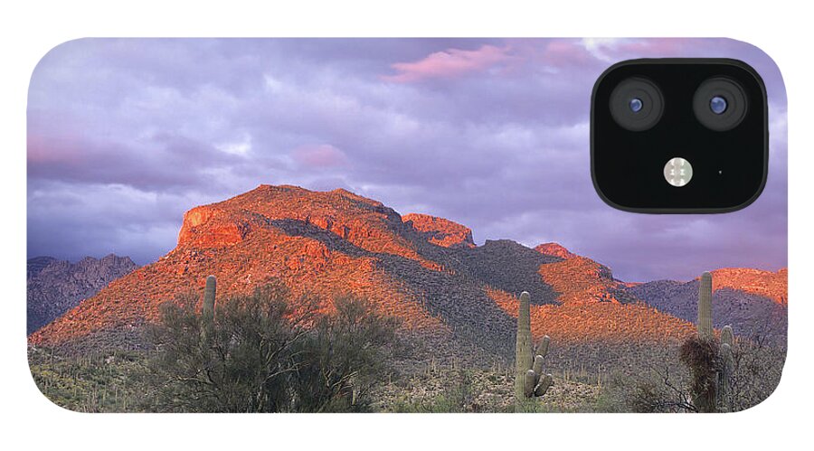 Shadow iPhone 12 Case featuring the photograph Alpenglow At Sabino Canyon by Cay-uwe