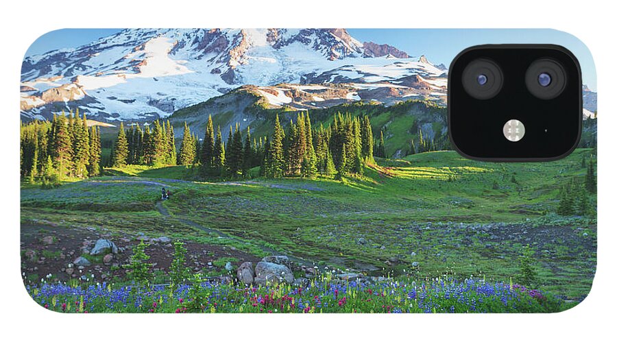 Scenics iPhone 12 Case featuring the photograph Alpine Wildflowers Along A Path In by Stuart Westmorland / Design Pics