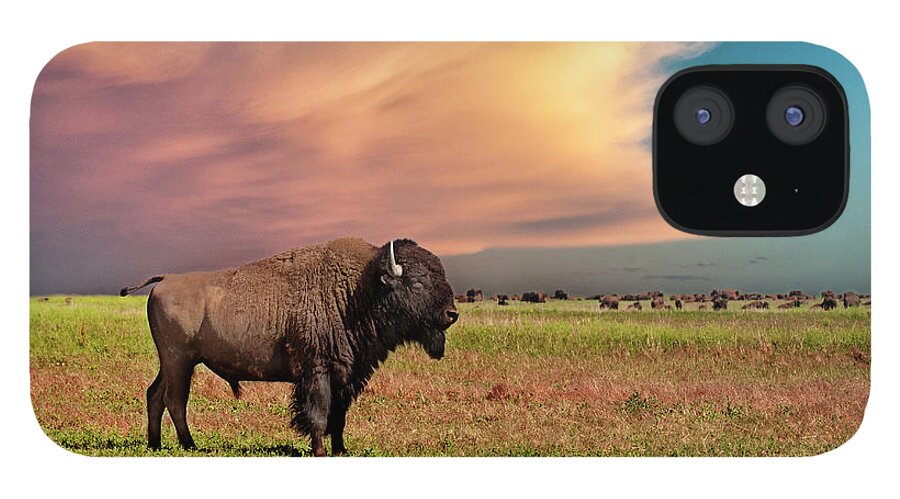 Horned iPhone 12 Case featuring the photograph American Bison At Sunset by Mike Hill