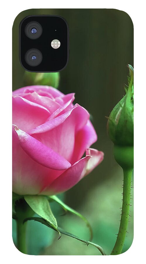 Pink iPhone 12 Case featuring the photograph April Flowers 4 by C Winslow Shafer