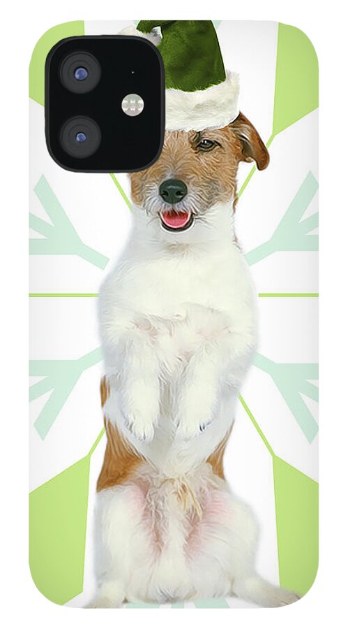 Jack Russell Terrier iPhone 12 Case featuring the digital art Jack Russell Terrier Dog Green Snowflake by Doreen Erhardt
