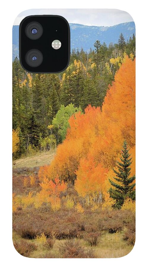 Aspens iPhone 12 Case featuring the photograph Aspens Ablaze II by Karen Stansberry