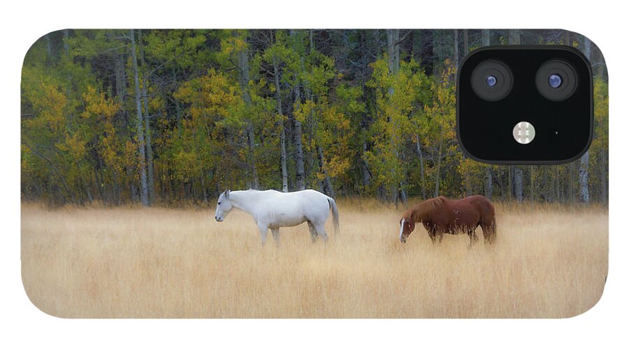 Horse iPhone 12 Case featuring the photograph Autumn Horse Meadow by Steph Gabler