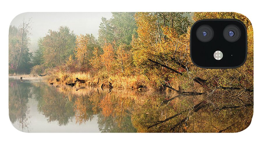 Tranquility iPhone 12 Case featuring the photograph Autumn Leaves On Trees Beside Still by Stuart Mccall