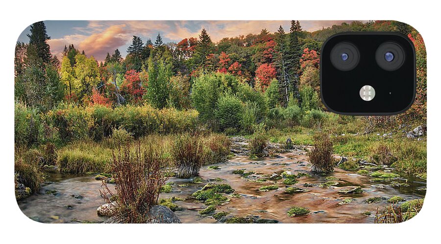 Nature iPhone 12 Case featuring the photograph Autumn Light Reflections by Leland D Howard