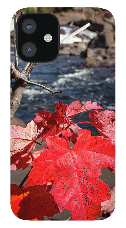 Red iPhone 12 Case featuring the photograph Autumn Red by Daniel Martin