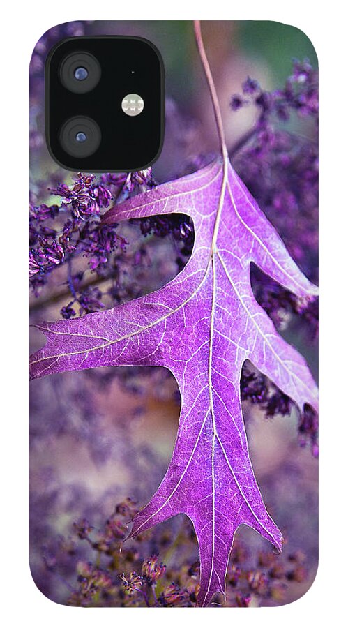 Autumnal iPhone 12 Case featuring the photograph Autumnal Ultra Violet Sound by Silva Wischeropp