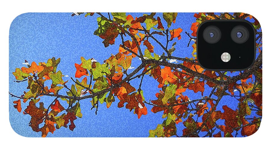 Autumn iPhone 12 Case featuring the photograph Autumn's Colors by Sipporah Art and Illustration