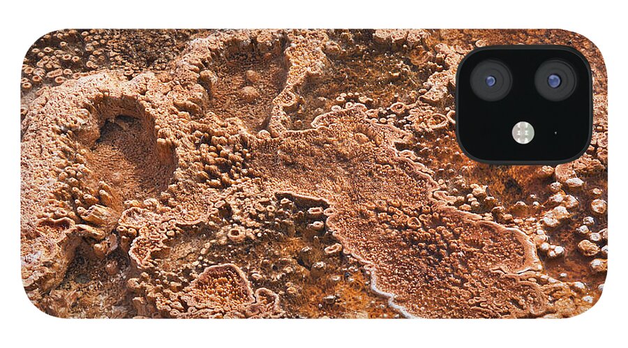 Mineral iPhone 12 Case featuring the photograph Bacterial Mat Close-up by Elsvandergun