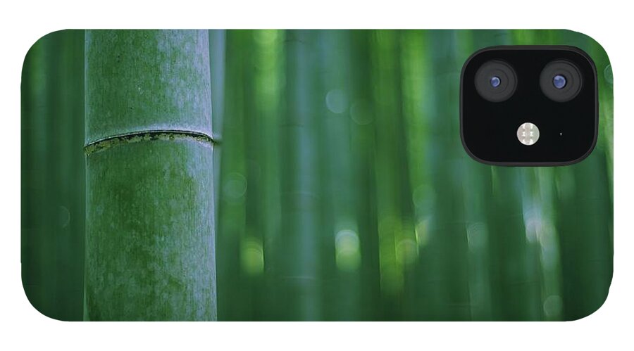 Bamboo iPhone 12 Case featuring the photograph Bamboo Forest by Joyoyo Chen