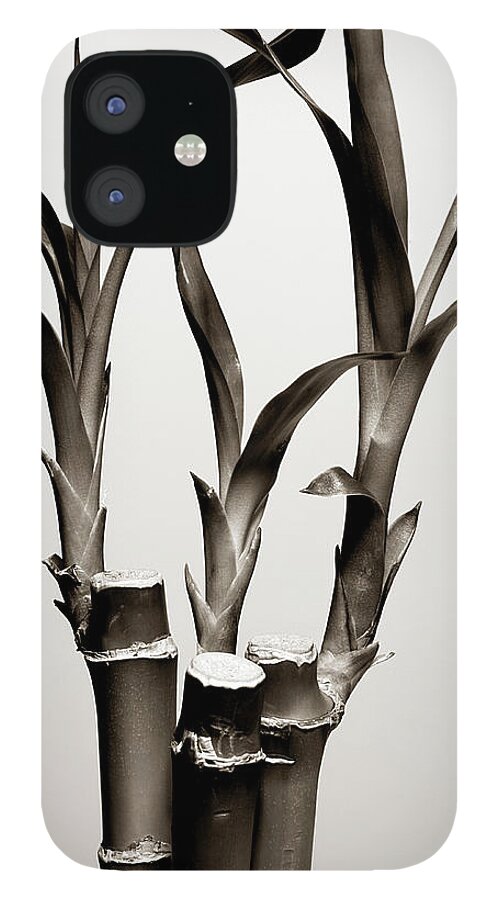 Bamboo iPhone 12 Case featuring the photograph Bamboo Leaves by Alex Cao