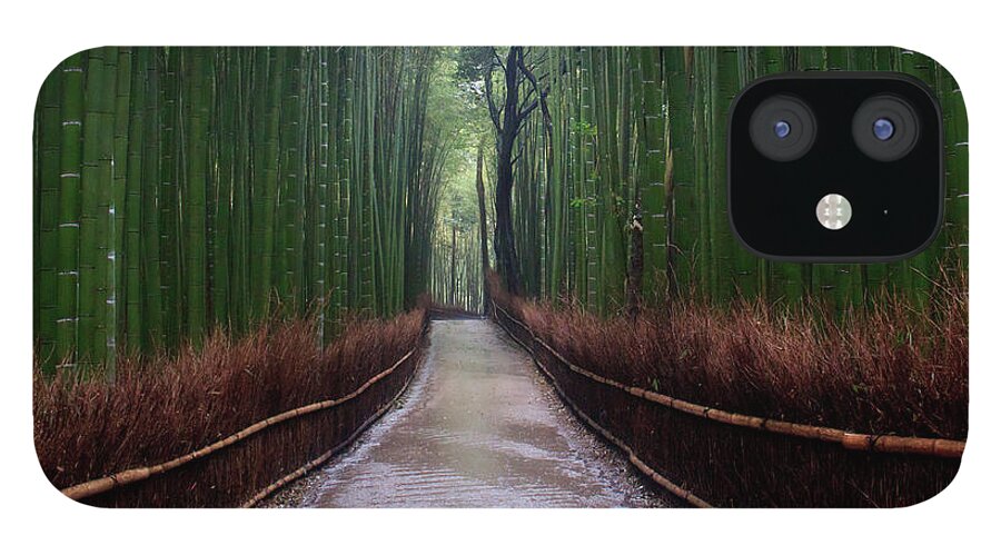 Bamboo iPhone 12 Case featuring the photograph Bamboo Walk by Kathy Dorsey