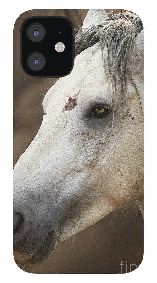 Battle Scars iPhone 12 Case featuring the photograph Battle Scars by Shannon Hastings
