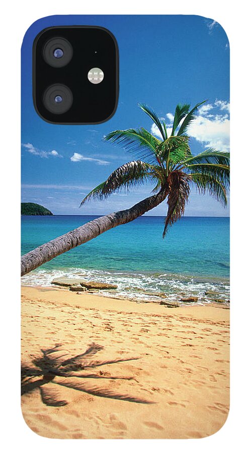 Scenics iPhone 12 Case featuring the photograph Bent Palm Tree And Footprints On by Medioimages/photodisc