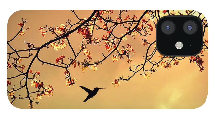 Treetop iPhone 12 Case featuring the photograph Bird Singing In The Morning Sky by Autumnn