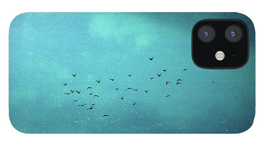 Taiwan iPhone 12 Case featuring the photograph Birds In The Sky by Photography By Bert.design