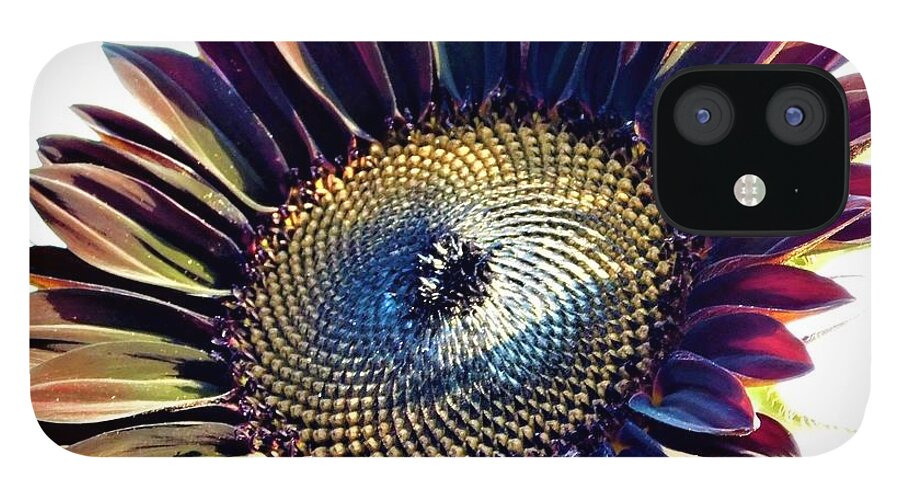 - Black Sunflower iPhone 12 Case featuring the photograph - Black Sunflower by THERESA Nye