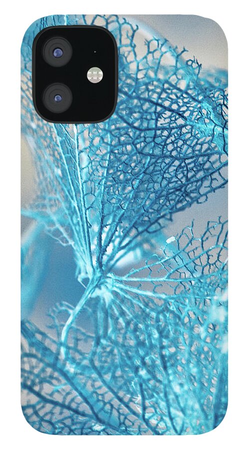 Connie Handscomb iPhone 12 Case featuring the photograph Blue Filigree by Connie Handscomb
