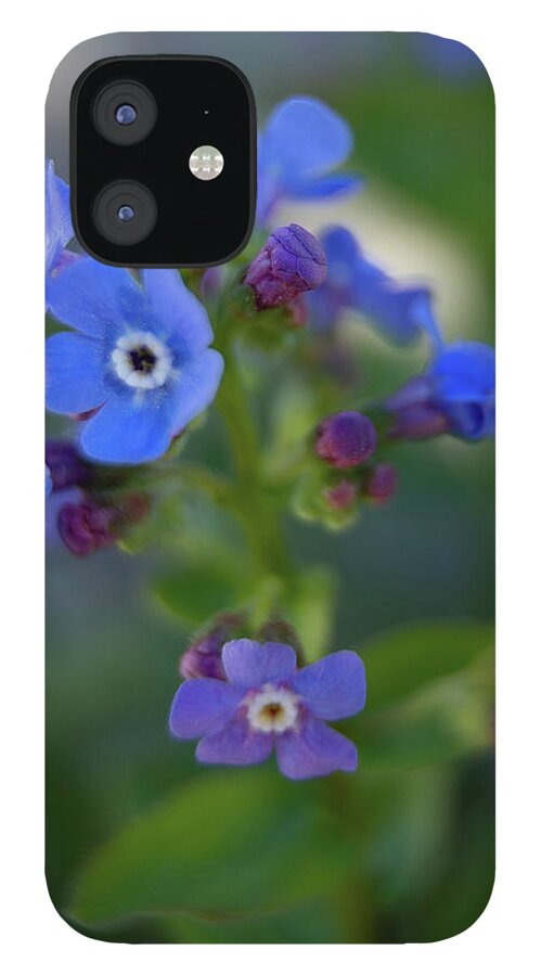 Macro iPhone 12 Case featuring the photograph Blue Flowers Macro by Fred DeSousa