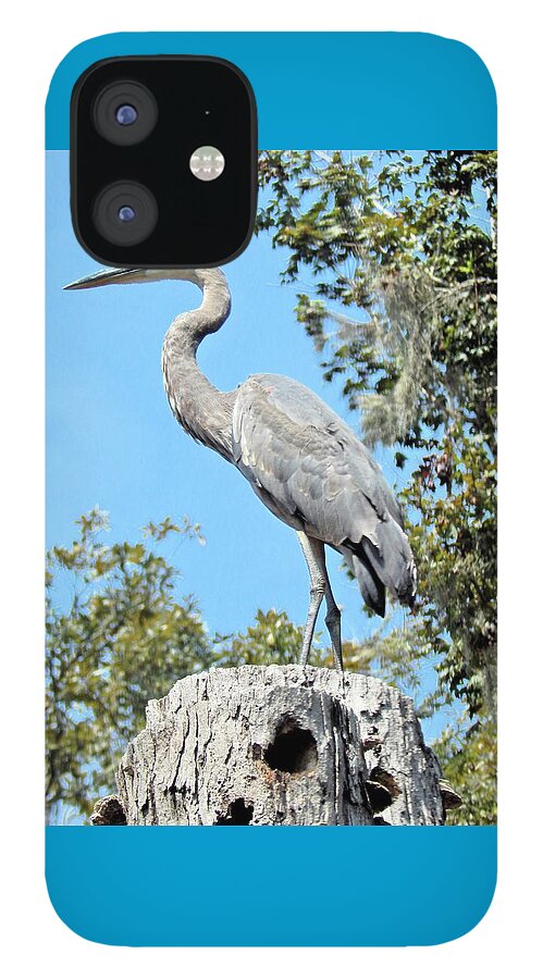 Bird iPhone 12 Case featuring the photograph Blue Heron King of the Tree by Karen Stansberry