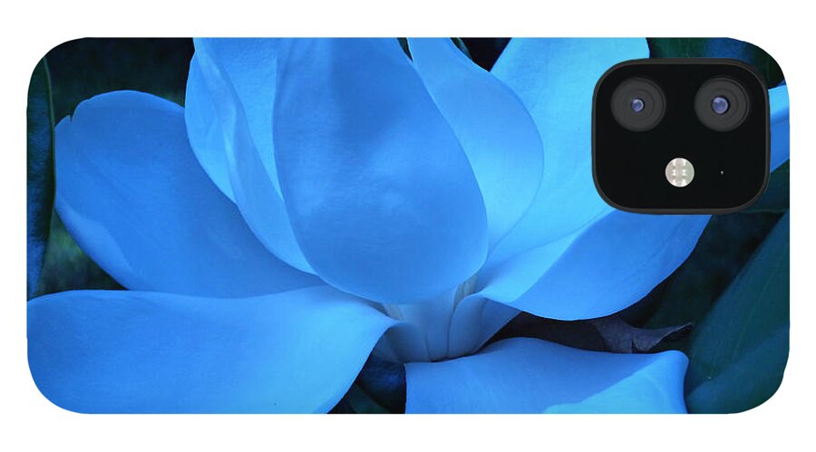 Magnolia Bloom iPhone 12 Case featuring the photograph Blue Magnolia by Mike McBrayer