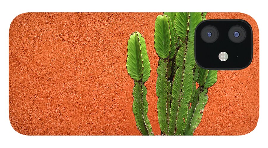 Latin America iPhone 12 Case featuring the photograph Cactus And Orange Wall by Mauricio Alcaraz Carbia Photography