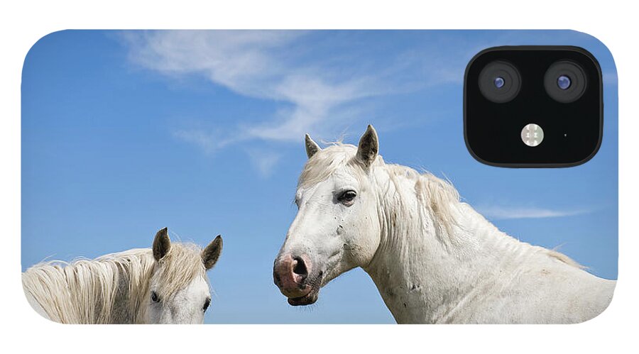 Horse iPhone 12 Case featuring the photograph Camargue Horses by Franz Aberham